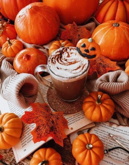 50 Visual Journeys Through Fall's Aesthetics : Hot Chocolate Topped with Whipped Cream 1 - Fab