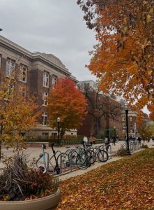 50 Visual Journeys Through Fall’s Aesthetics : University Of Minnesota 