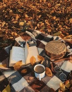 50 Visual Journeys Through Fall's Aesthetics : Fall Picnic, Plaid ...