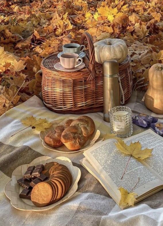 50 Visual Journeys Through Fall’s Aesthetics : Cozy Autumn Picnic