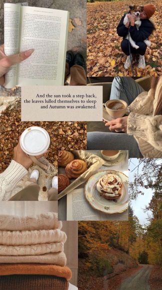 40 Autumn Collage Ideas Patchwork of Fall's Beauty : Autumn Was ...