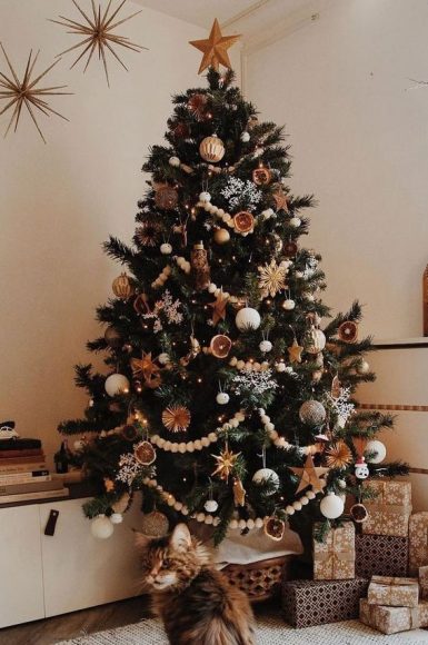 Evergreen Elegance: Enchanting Christmas Tree Themes to Illuminate Your ...