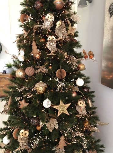 Enchanting Varieties: 15 Dazzling Christmas Tree Themes to Spark Your ...