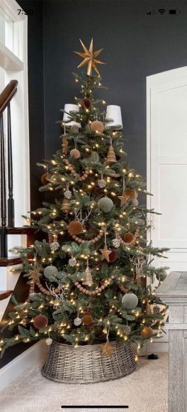 Enchanting Varieties: 15 Dazzling Christmas Tree Themes to Spark Your ...