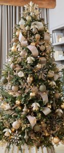 Enchanting Varieties: 15 Dazzling Christmas Tree Themes to Spark Your ...