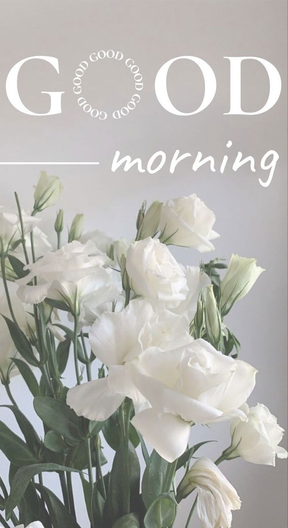 Good Morning Flowers, good morning, love, nature, rose, roses, HD phone  wallpaper | Peakpx