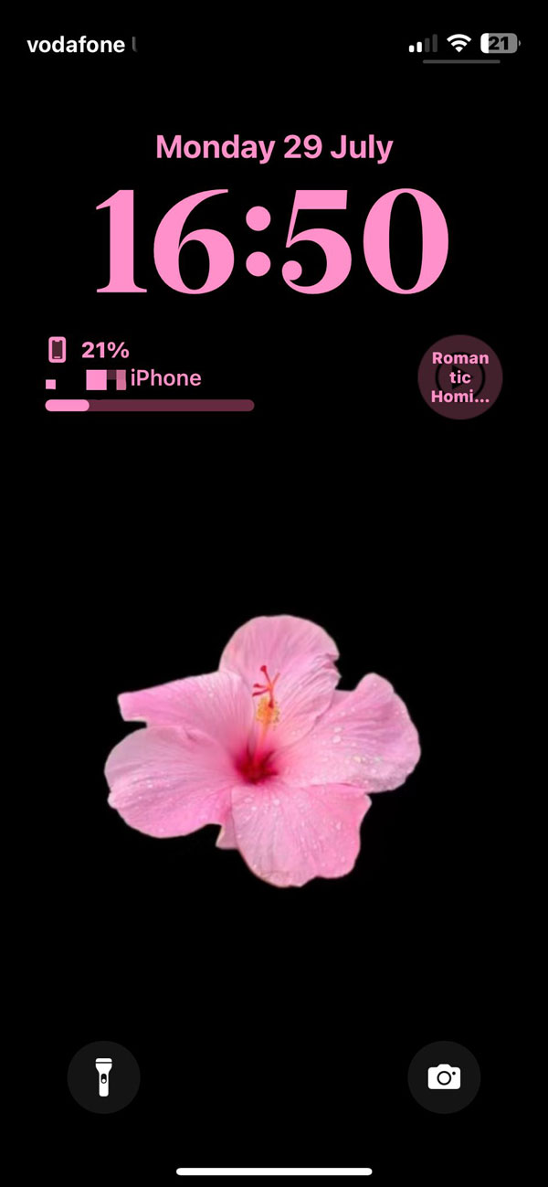 Pink Hibiscus Wallpaper for iphone