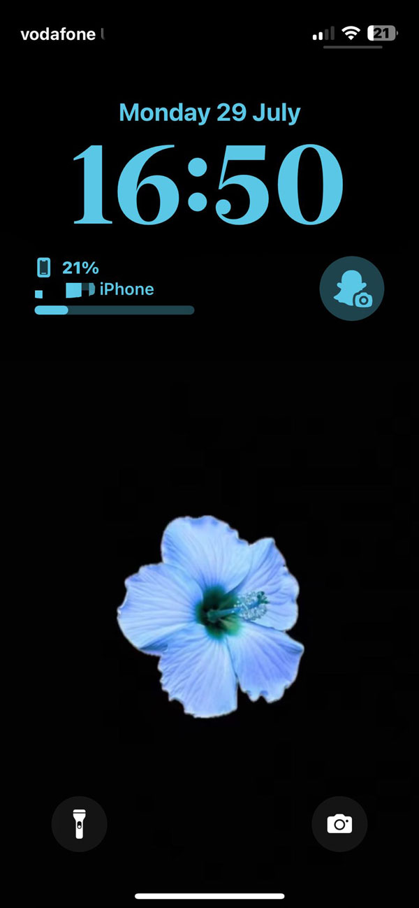 Blue Hibiscus Wallpaper for iPhone