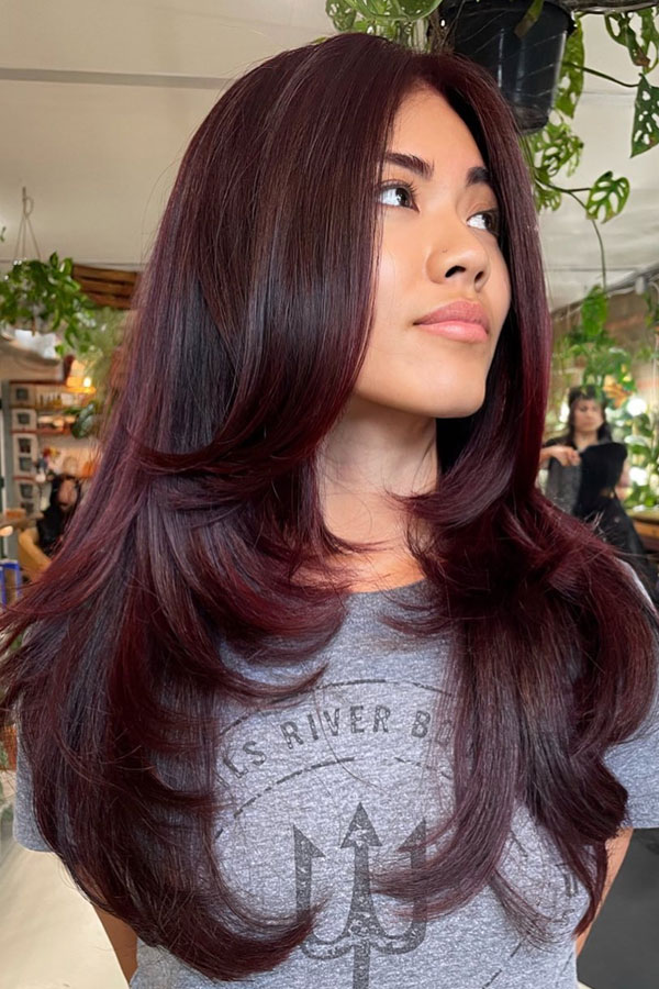 Deep Merlot Burgundy, burgundy hair color idea