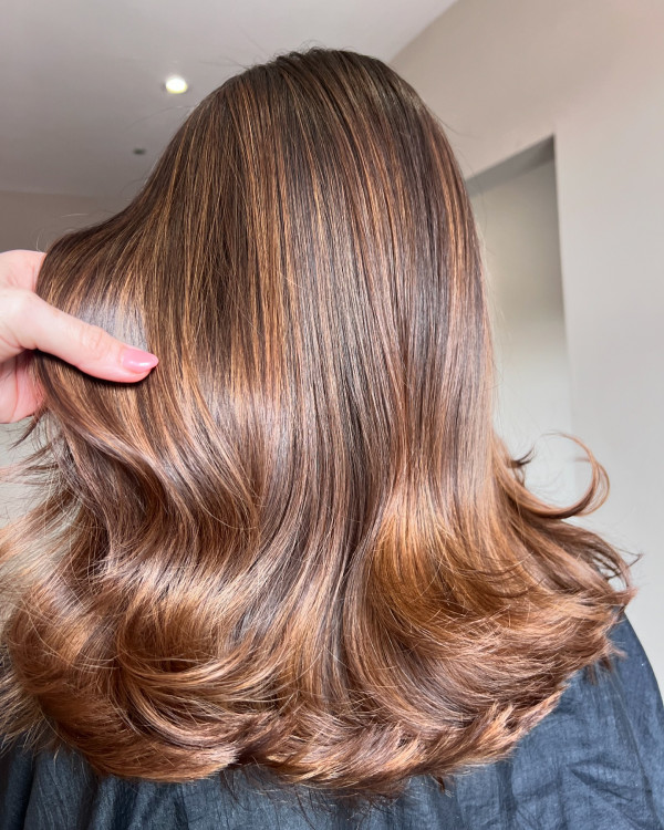 Velvet Chestnut Balayage