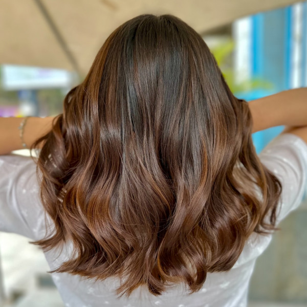 Subtle Chestnut Balayage