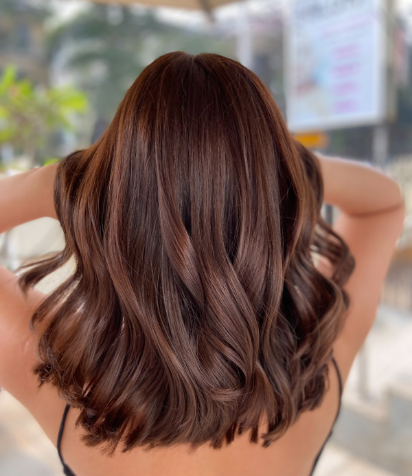 Chestnut Mocha Balayage