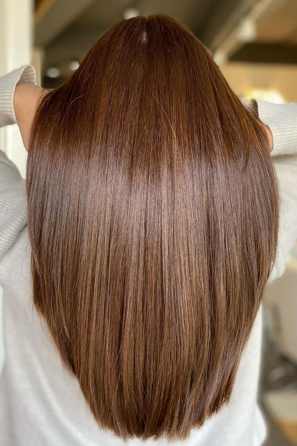 17 Chestnut Hair Color Ideas for Every Style