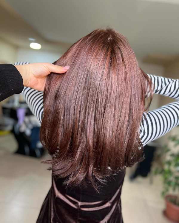 Subtle Mahogany Balayage on Straight Shoulder-Length Hair